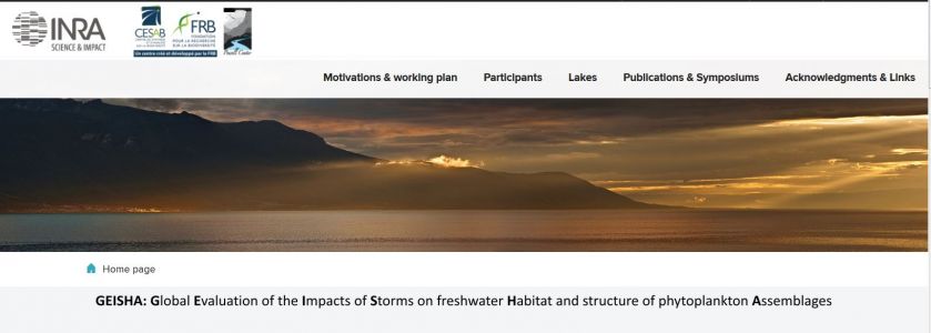 https://www.geisha-stormblitz.fr/