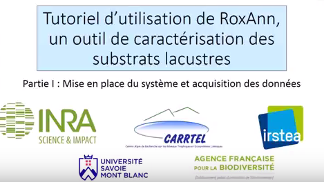 tuto roxann