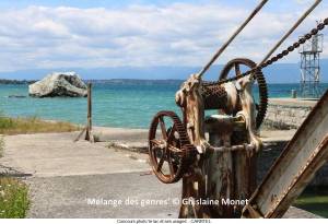 Melange-des-genres