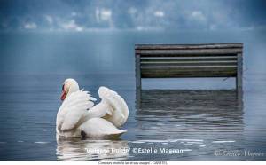 Volupte-froide