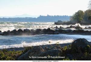 La-force-tranquille