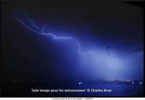 sale-temps