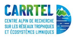 Le nouveau logo du CARRTEL est disponible