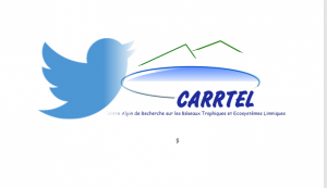 twitter-carrtel